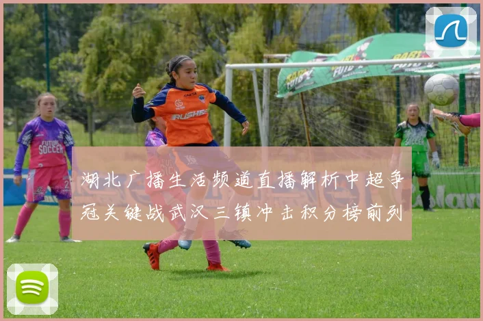 湖北广播生活频道直播解析中超争冠关键战武汉三镇冲击积分榜前列