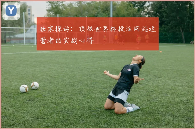 独家探访：顶级世界杯投注网站运营者的实战心得