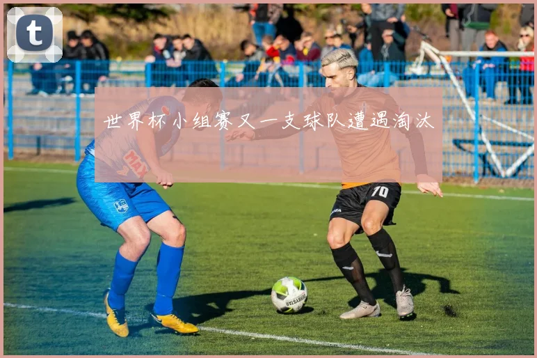 世界杯小组赛又一支球队遭遇淘汰