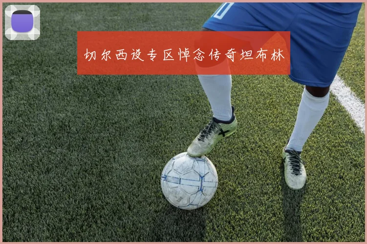 切尔西设专区悼念传奇坦布林