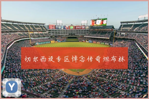 切尔西设专区悼念传奇坦布林