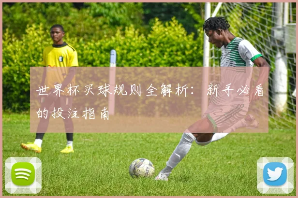 世界杯买球规则全解析:新手必看的投注指南