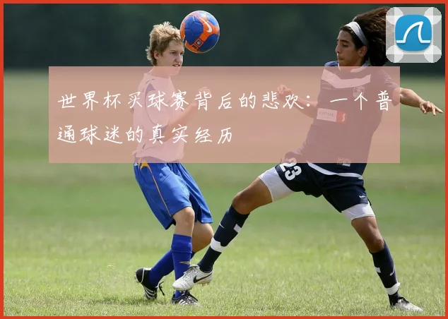 世界杯买球赛背后的悲欢:一个普通球迷的真实经历