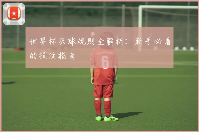 世界杯买球规则全解析:新手必看的投注指南