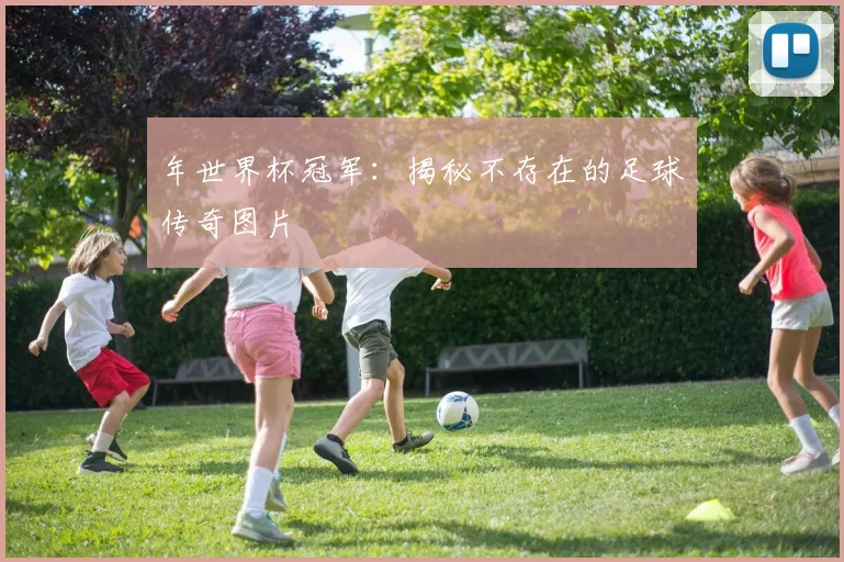 年世界杯冠军:揭秘不存在的足球传奇图片